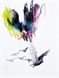 les chauves-souris - Petits formats
