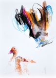 les canards - Petits formats