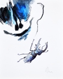 cerf-volant bleu - Petits formats